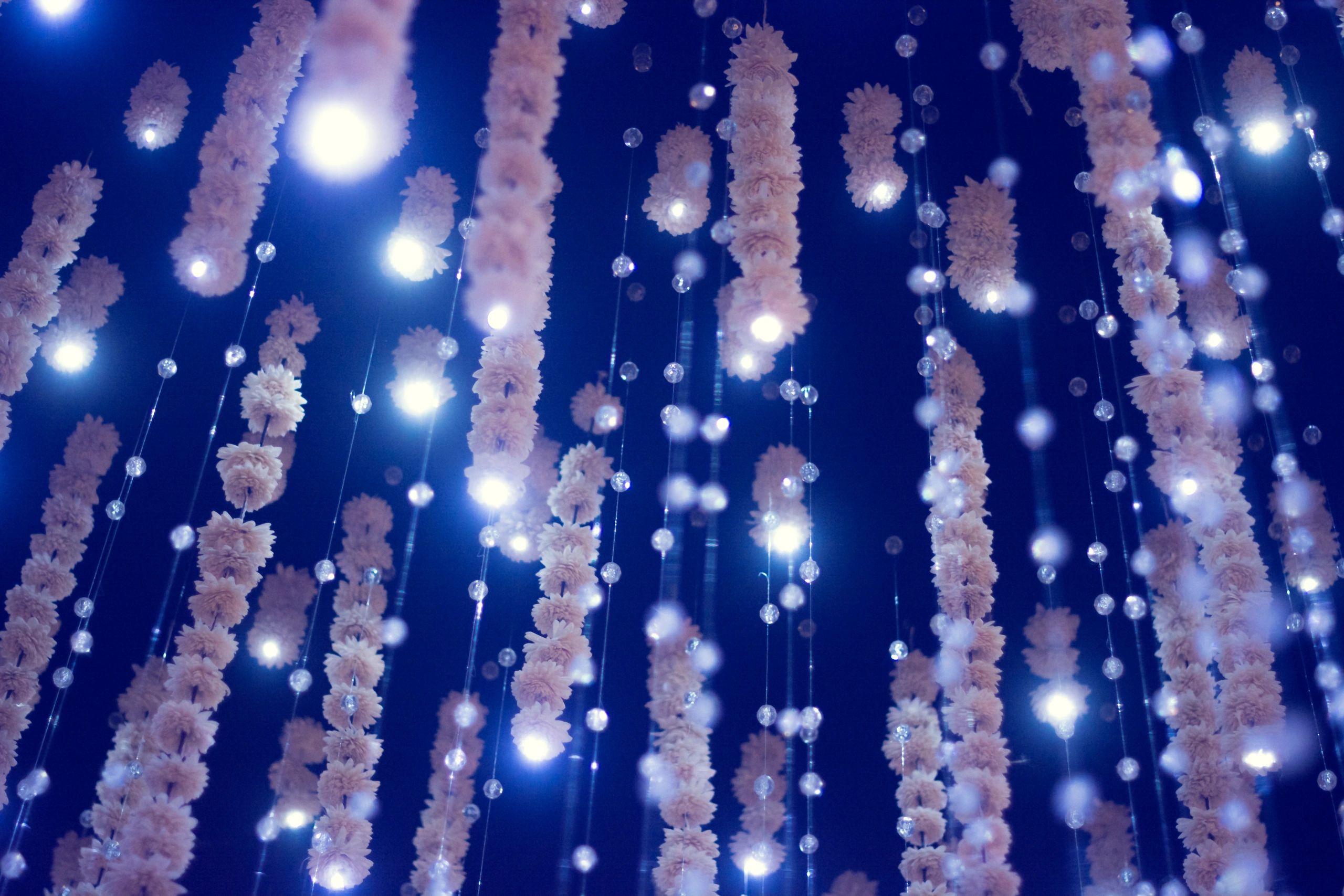 Glowing decorative lights with floral details